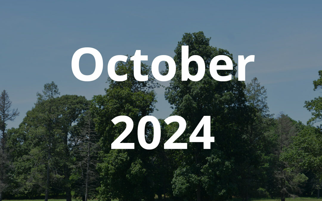 October 2024