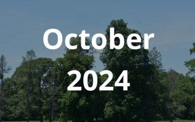 October 2024