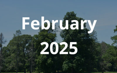 February 2025