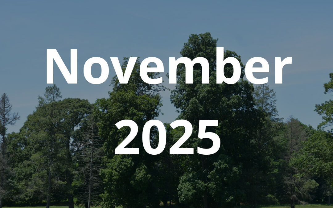 November 2025