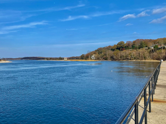 June 1 Press Release Featured Image of Stony Brook Harbor
